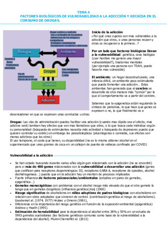 T4-VULNERABILIDAD-Y-RECAIDA.pdf