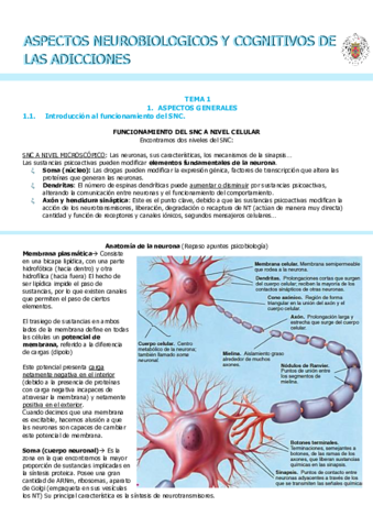 T1-ASPECTOS-NEUROBIOLOGICOS-Y-COGNITIVOS-DE-LAS-ADICCIONES.pdf