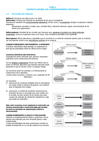 T2-SUSTRATO-NEURAL-COMPORTAMIENTO-MOTIVADO.pdf