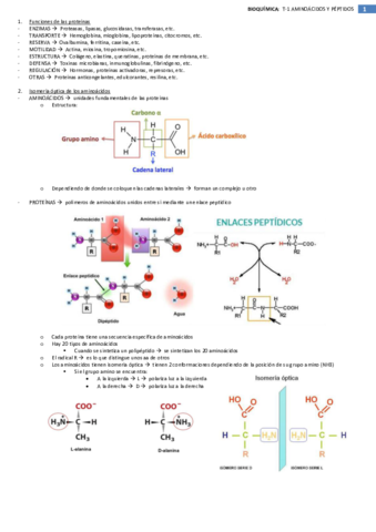 Temario-Bioquimica-Completo.pdf