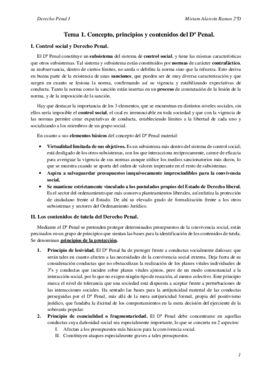 Apuntes penal.pdf