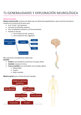 T1-generalidades-y-exploracion-neurologica-.pdf