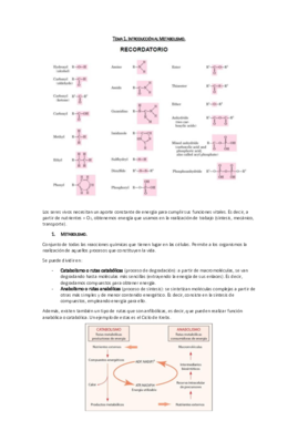 Tema 1. Introducción al metabolismo.pdf