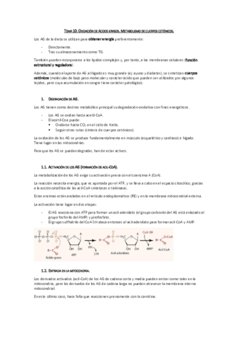 Tema 10. Oxidación de AG y Metabolismo de cuerpos cetónicos.pdf