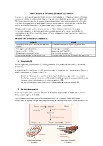 Tema 11. Biosíntesis de AG y Metabolismo de eicosanoides.pdf