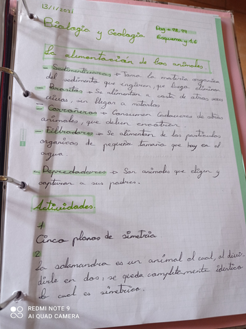 161193046615194082275313486316.jpg