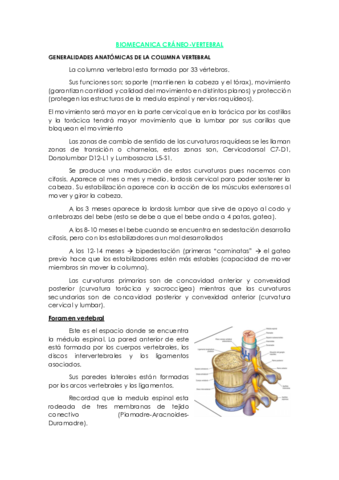 Tema-1-Craneocervical-.pdf