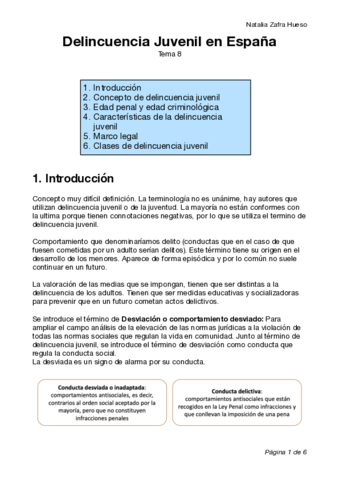 Delincuencia-Juvenil-en-Espana.pdf