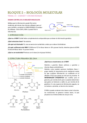 Tema-10.pdf