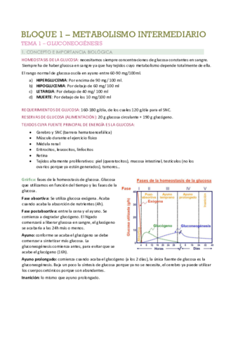 TEMA-1-GLUCONEOGENESIS-WUOLAH.pdf