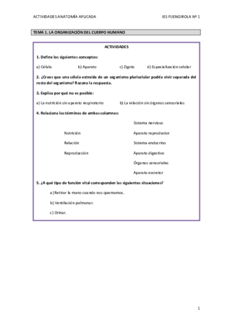 Actividades.pdf