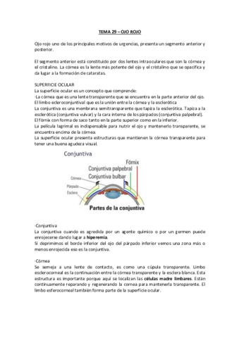 TEMAS-OJO-.pdf