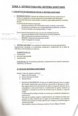 Estructura-del-sistema-sanitario-tema-1.pdf