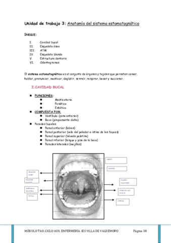 Tema 3