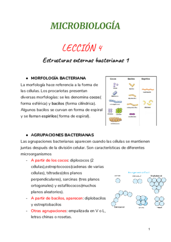 LECCION-4.pdf