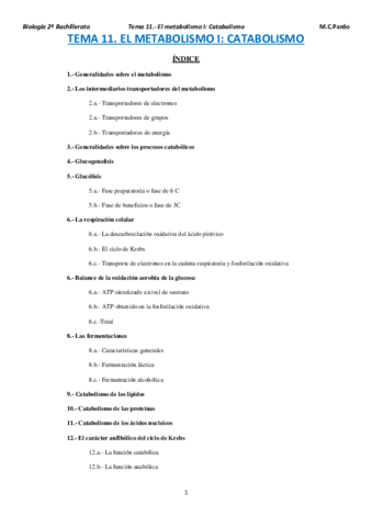 TEMA-11-metabolismo-1-catabolismo.pdf