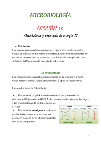 LECCION-13.pdf