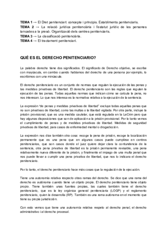 Dret-penitenciari-APUNTS.pdf