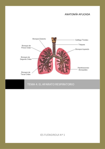 El-aparato-respiratorio.pdf
