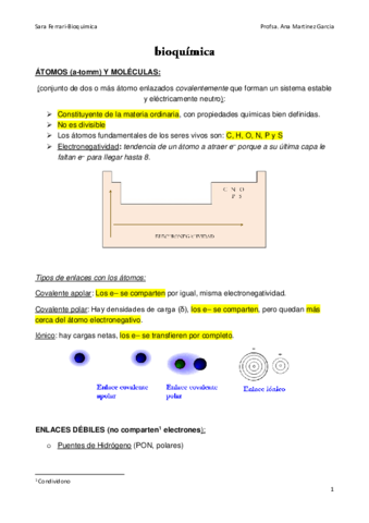 bioquimica.pdf