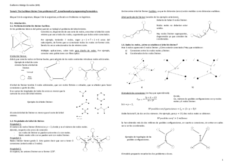 Tema9TheEuclideanSteinerTreeProbleminRn.pdf