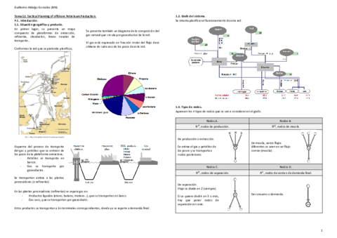 Tema12TacticalplanningOffshorePetroleumProduction.pdf