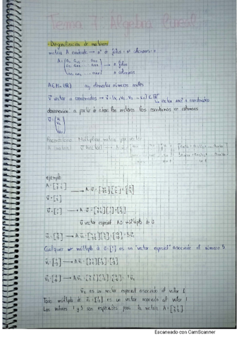 diagonalizacion-de-matrices.pdf