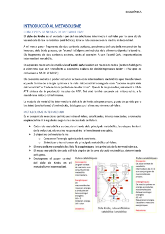 METABOLISME-definitiu.pdf