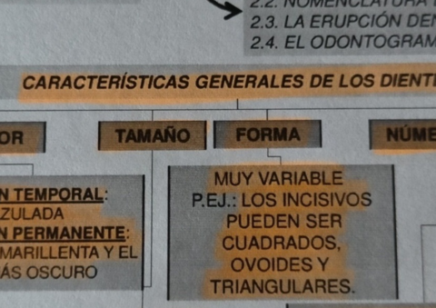 Denticion-temporal-y-permanente.pdf