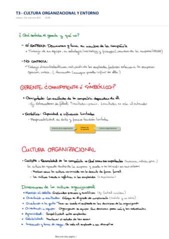 T3-CULTURA-ORGANIZACIONAL-Y-ENTORNO.pdf