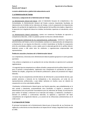 Tema-5-Laboral-II-pdf.pdf