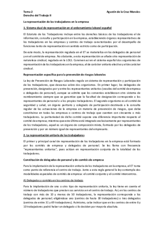 Tema-2-Laboral-II-pdf.pdf