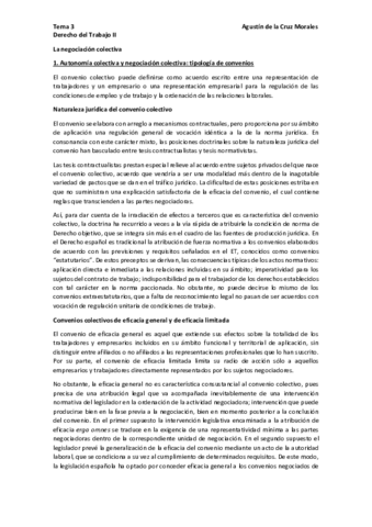 Tema-3-Laboral-II-pdf.pdf