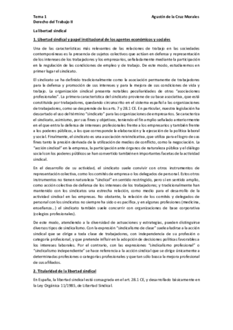Tema-1-Laboral-II-pdf.pdf