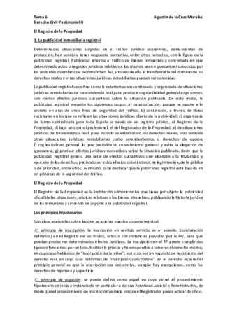 Tema-6-Patrimonial-II-pdf.pdf