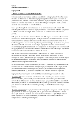 Tema-2-Patrimonial-II-pdf.pdf