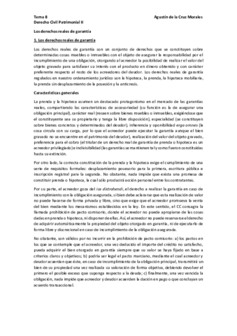 Tema-8-Patrimonial-II-pdf.pdf