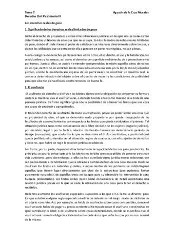 Tema-7-Patrimonial-II-pdf.pdf