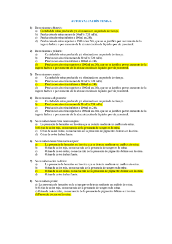 AUTOEVALUACION-TEMA-6.pdf