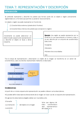 resumen-tema-7.pdf