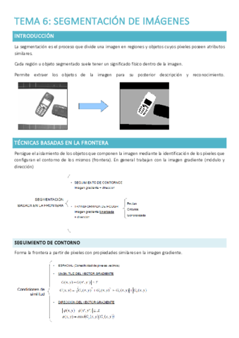 Resumen-TEMA-6.pdf