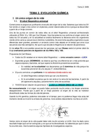 Tema-2.pdf