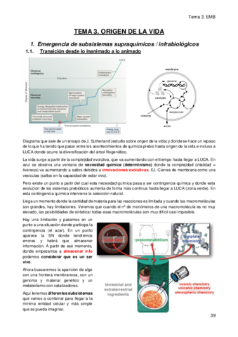 Tema-3.pdf