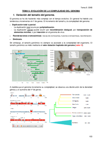 TEMA-9.pdf