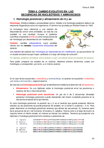 TEMA-6.pdf