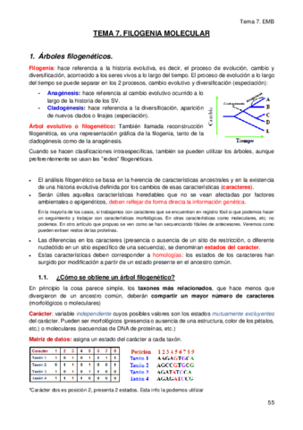 TEMA-7.pdf