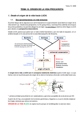 TEMA-10.pdf