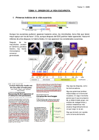TEMA-11.pdf