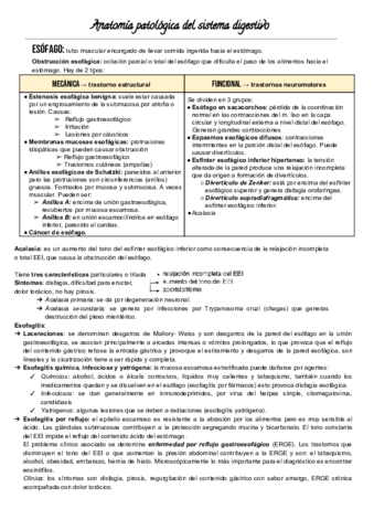Anato-digestivo.pdf