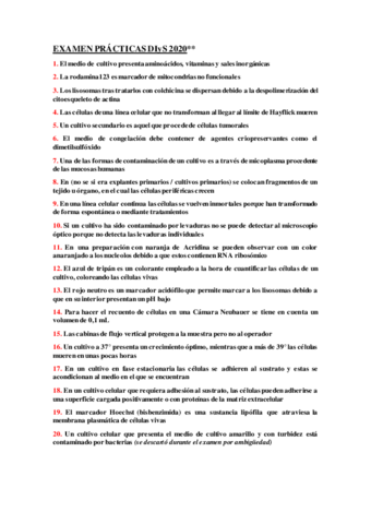 Examen-Practicas-DIyS.pdf
